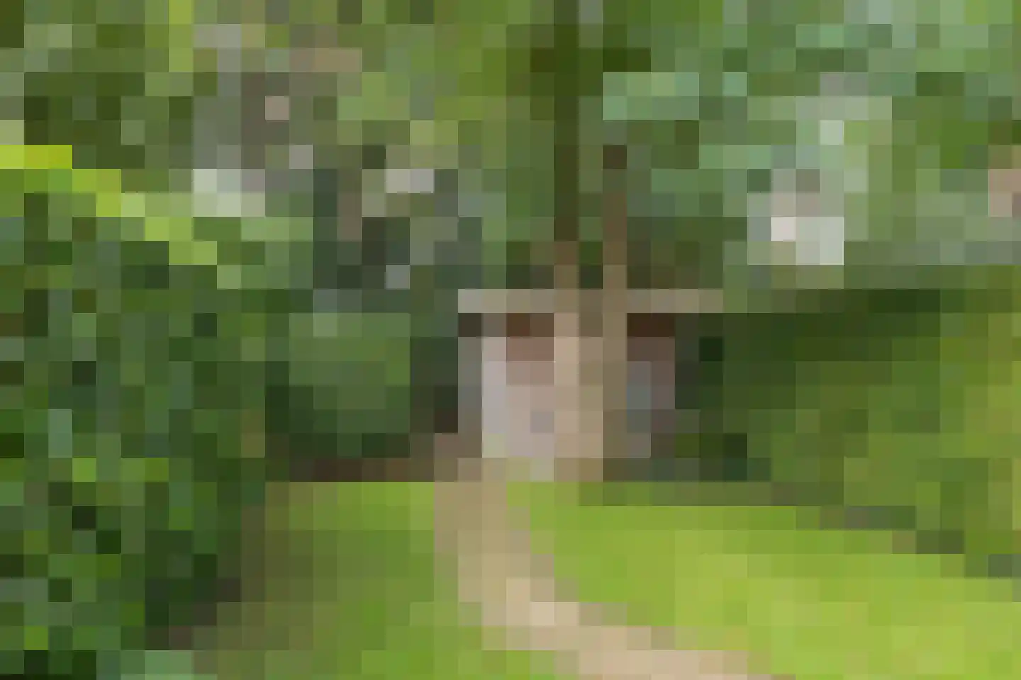 Diepenbrocklaan 10 Bilthoven thumbnail 36