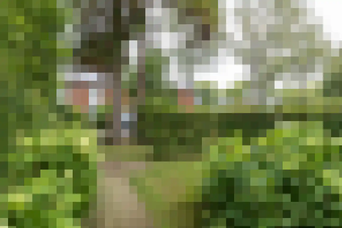 Diepenbrocklaan 10 Bilthoven thumbnail 4