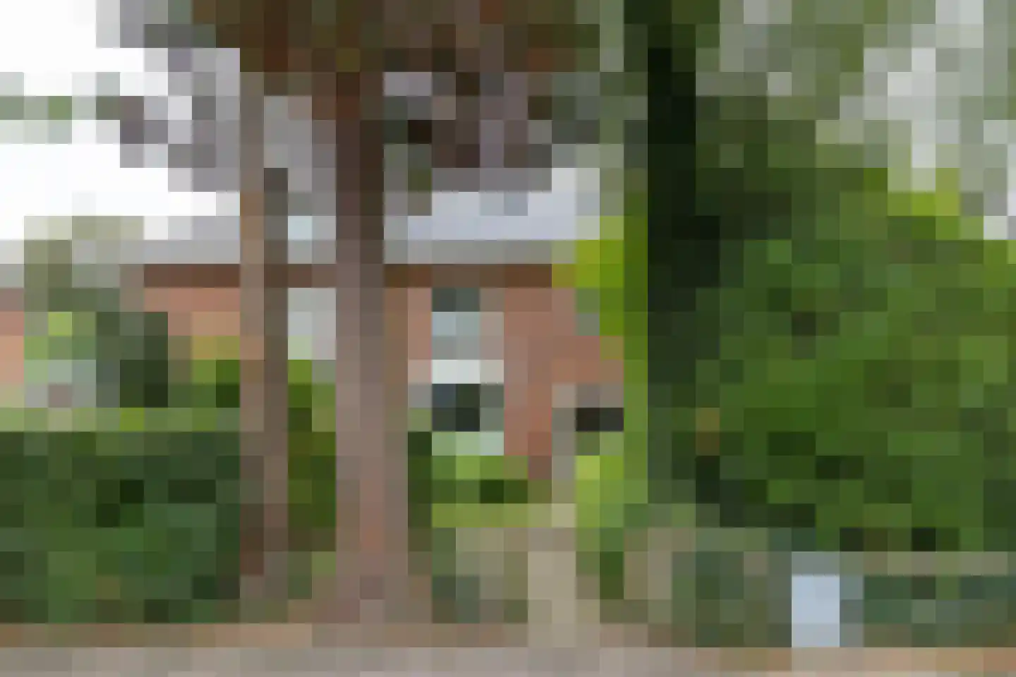 Diepenbrocklaan 10 Bilthoven thumbnail 41