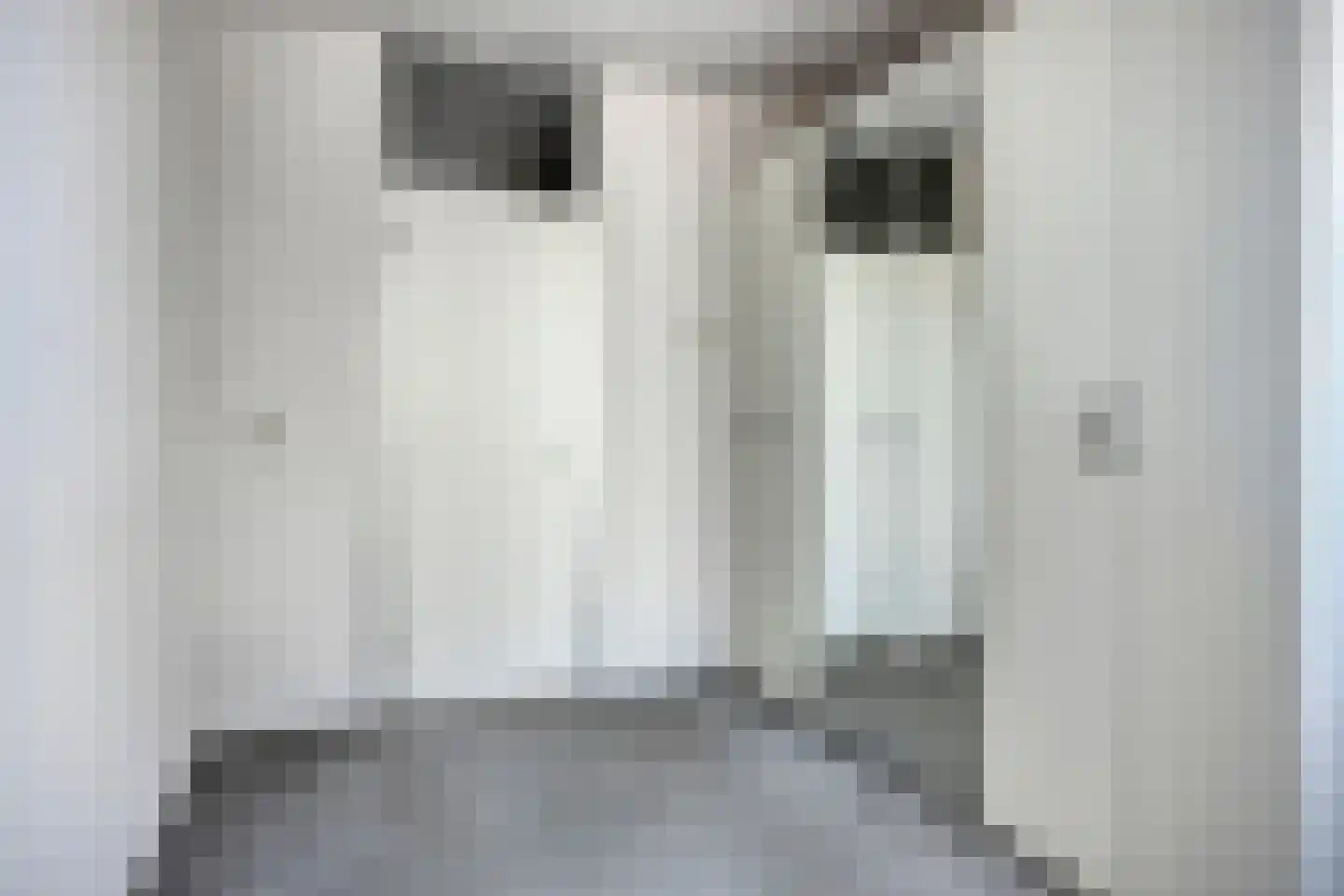Diepenbrocklaan 108 Tilburg thumbnail 27
