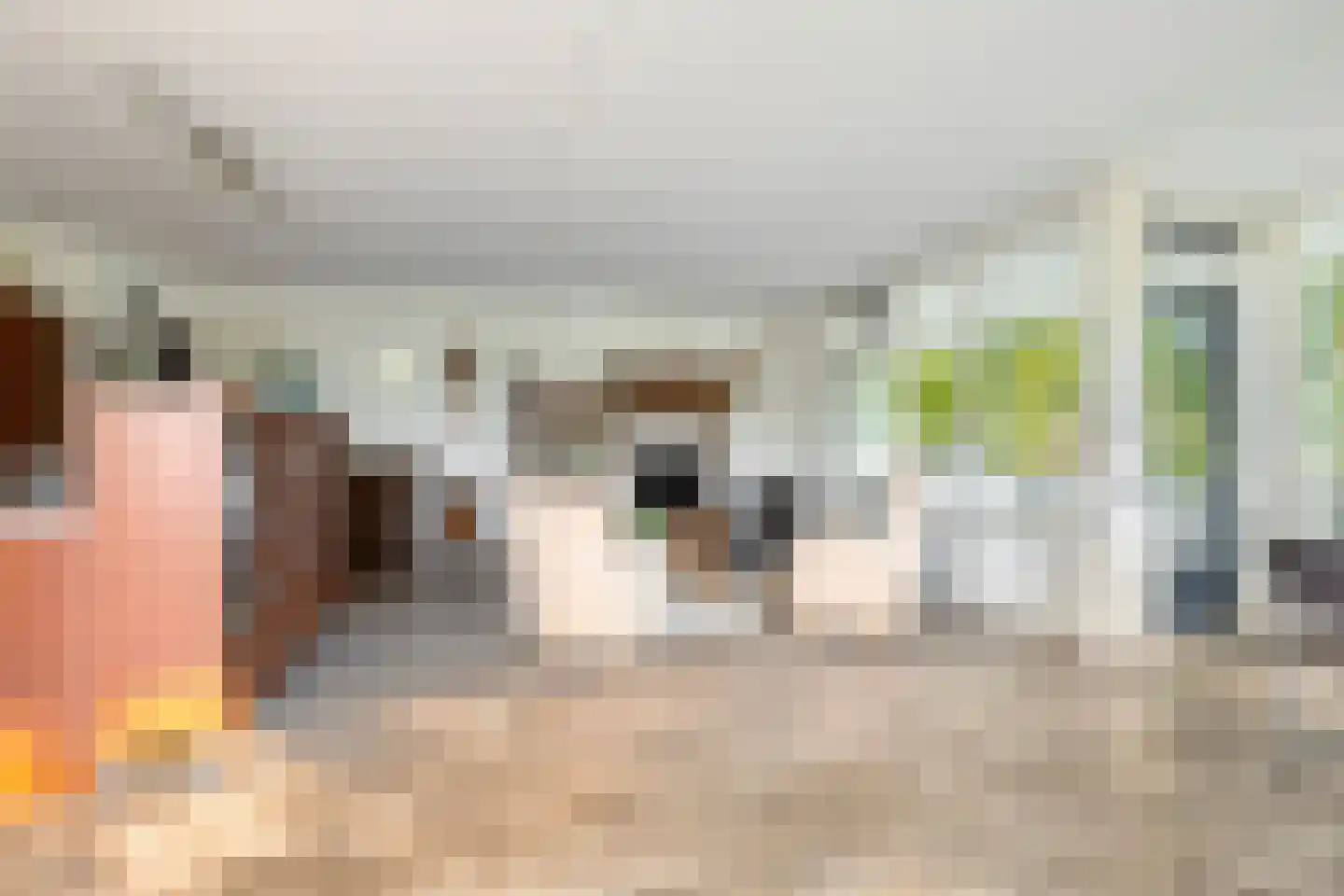 Diepenbrocklaan 11 Leiden thumbnail 12