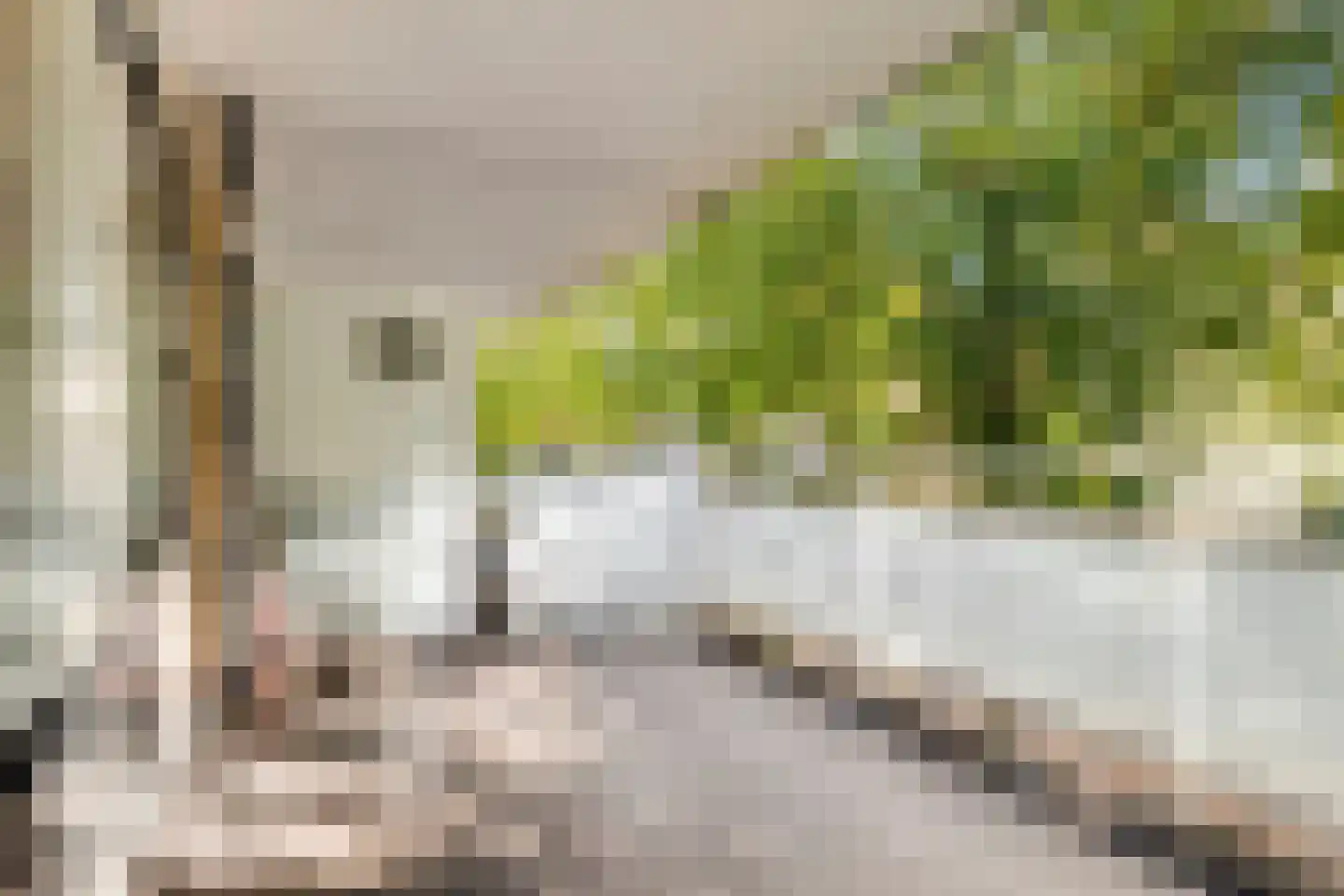 Diepenbrocklaan 11 Leiden thumbnail 16