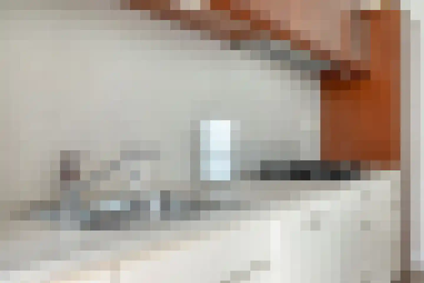 Diepenbrocklaan 11 Leiden thumbnail 18