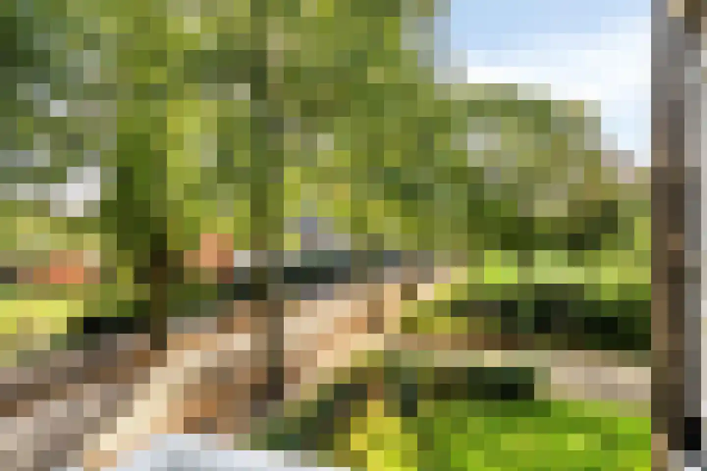 Diepenbrocklaan 11 Leiden thumbnail 27