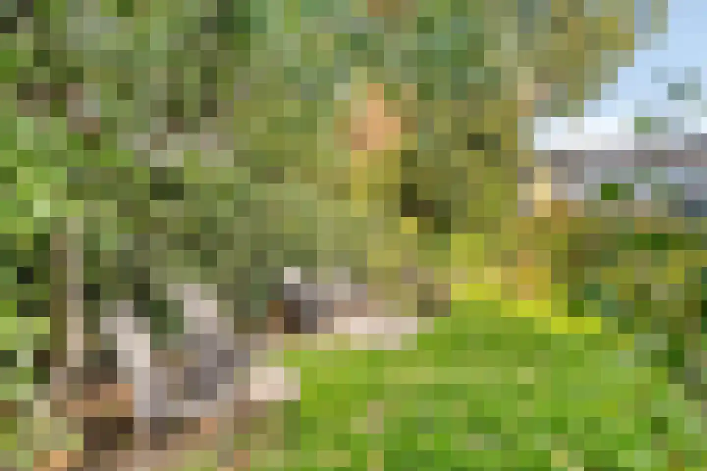 Diepenbrocklaan 11 Leiden thumbnail 33