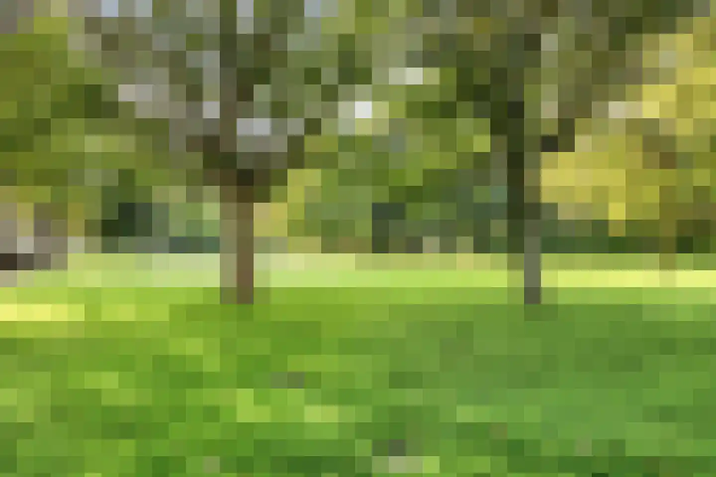 Diepenbrocklaan 11 Leiden thumbnail 34