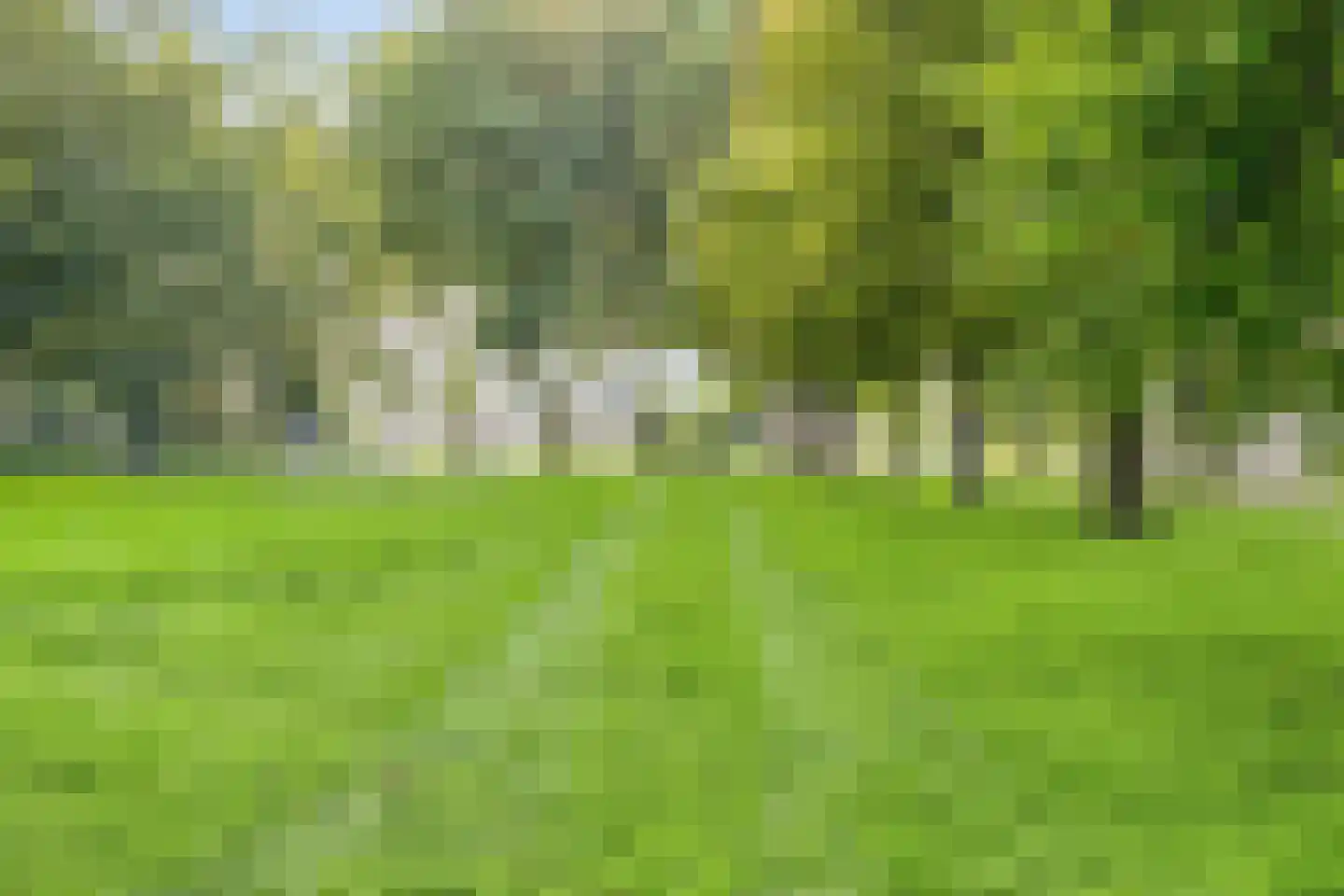 Diepenbrocklaan 11 Leiden thumbnail 35