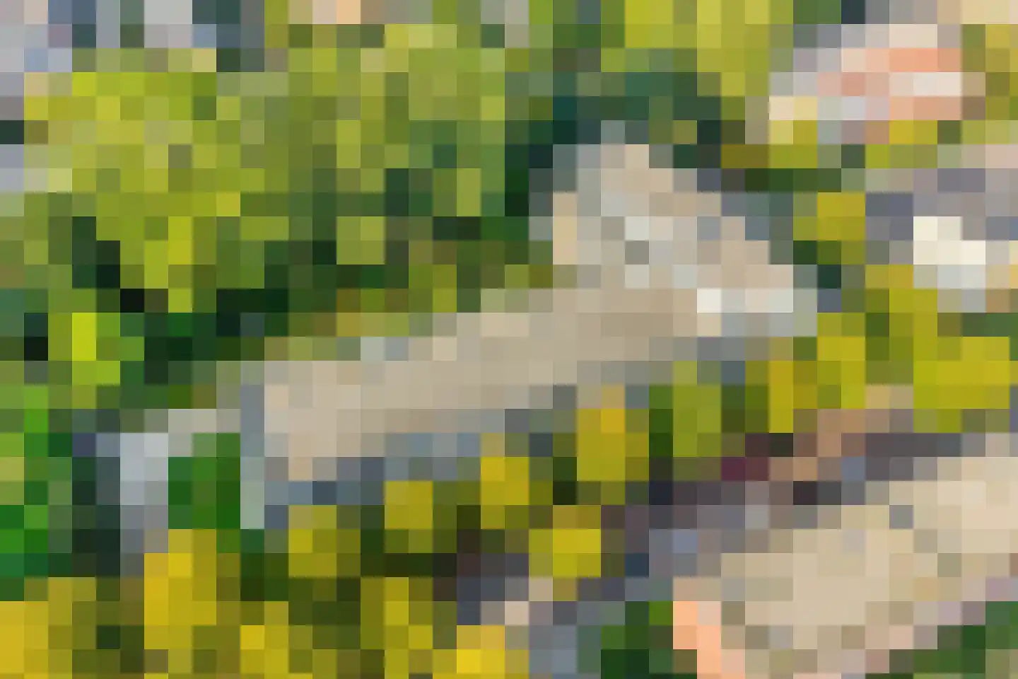 Diepenbrocklaan 11 Leiden thumbnail 38