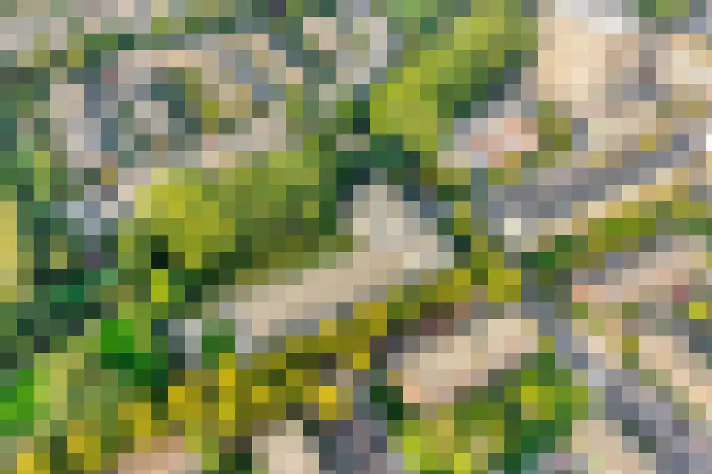 Diepenbrocklaan 11 Leiden thumbnail 39