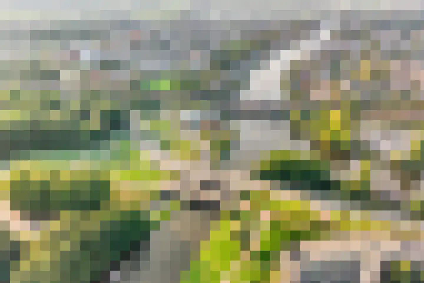Diepenbrocklaan 11 Leiden thumbnail 43