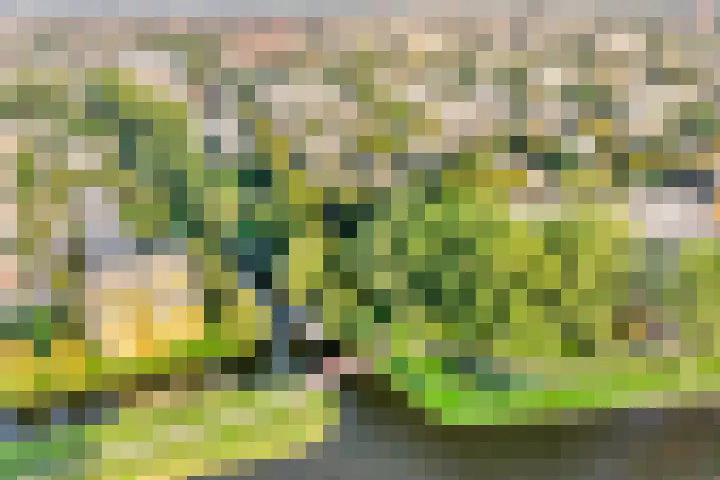 Diepenbrocklaan 11 Leiden thumbnail 44