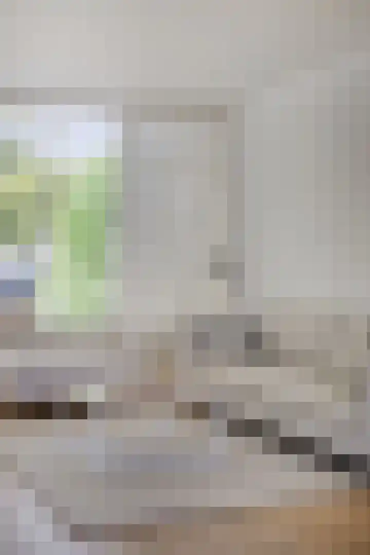 Diepenbrocklaan 11 Roosendaal thumbnail 10