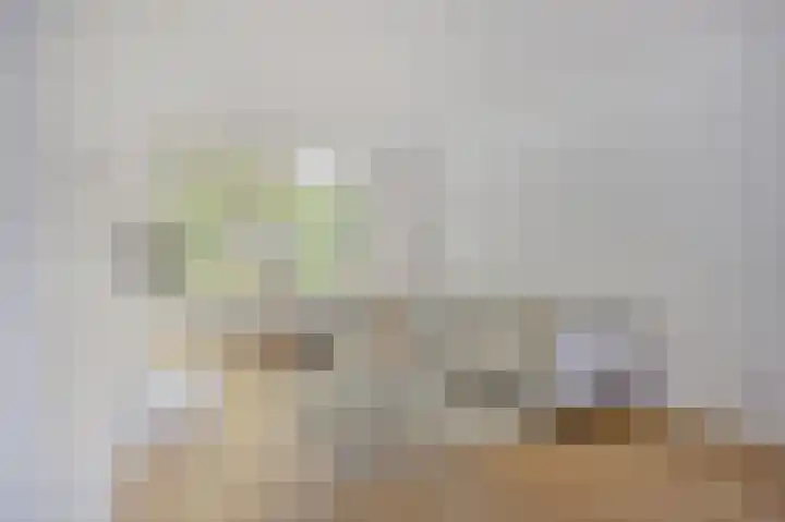 Diepenbrocklaan 11 Roosendaal thumbnail 7