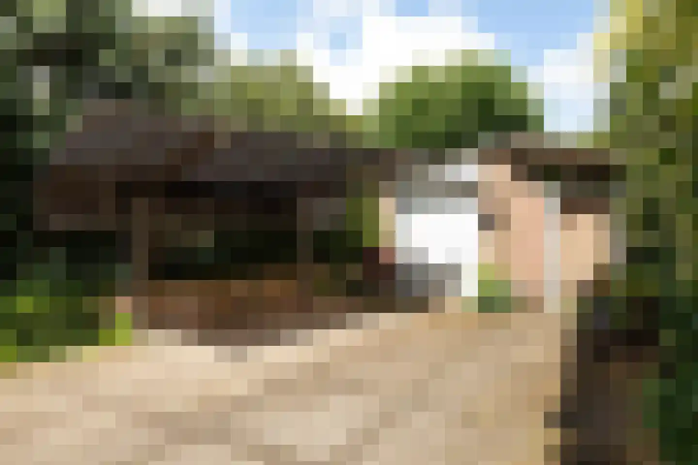 Diepenbrocklaan 12 Baarn thumbnail 29