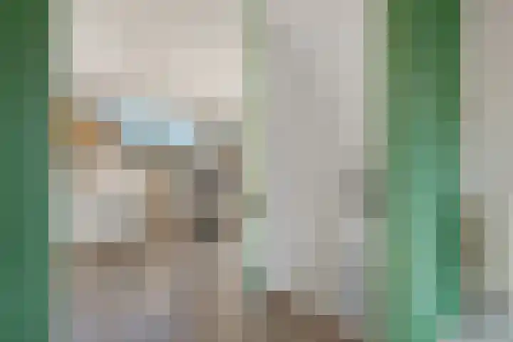Diepenbrocklaan 128 Tilburg thumbnail 10