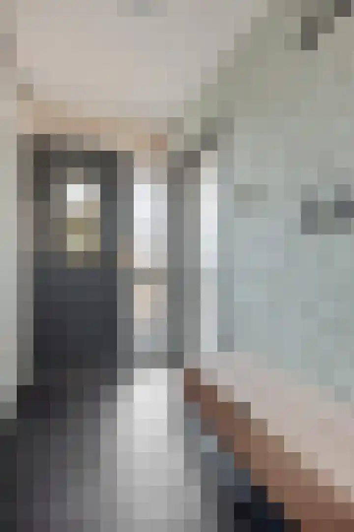 Diepenbrocklaan 128 Tilburg thumbnail 12