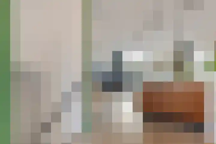 Diepenbrocklaan 128 Tilburg thumbnail 18