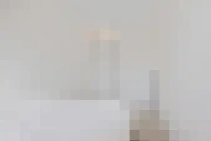 Diepenbrocklaan 128 Tilburg thumbnail 30