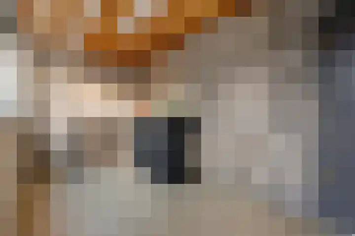 Diepenbrocklaan 128 Tilburg thumbnail 35