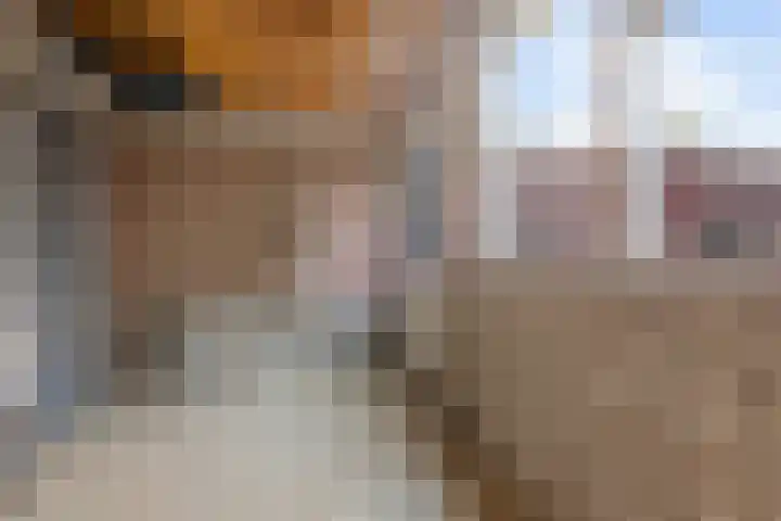 Diepenbrocklaan 128 Tilburg thumbnail 36