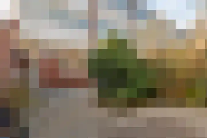Diepenbrocklaan 128 Tilburg thumbnail 43