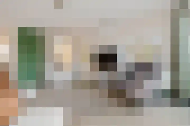 Diepenbrocklaan 128 Tilburg thumbnail 6