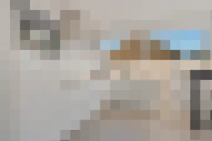 Diepenbrocklaan 128 Tilburg thumbnail 8