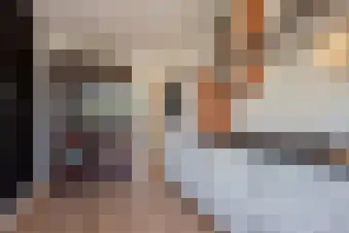 Diepenbrocklaan 13 Leidschendam thumbnail 12