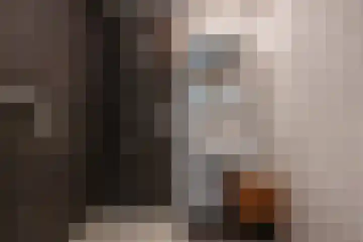 Diepenbrocklaan 13 Leidschendam thumbnail 27