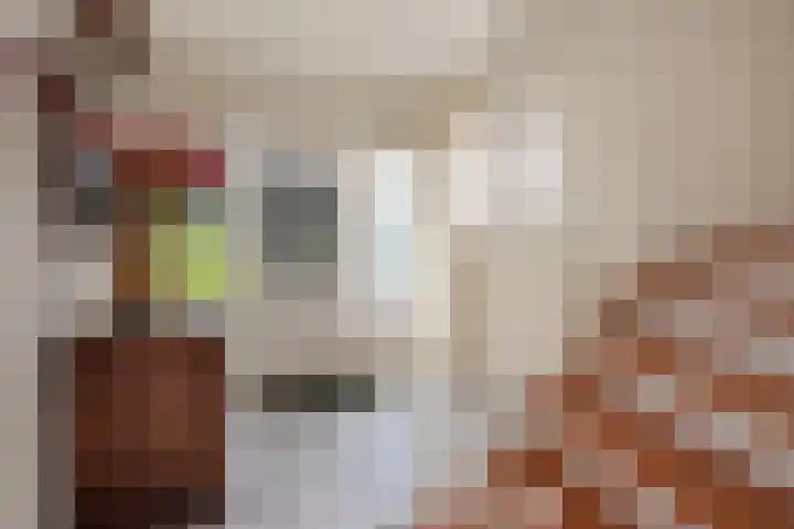 Diepenbrocklaan 13 Leidschendam thumbnail 4
