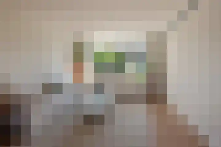 Diepenbrocklaan 13 Leidschendam thumbnail 5