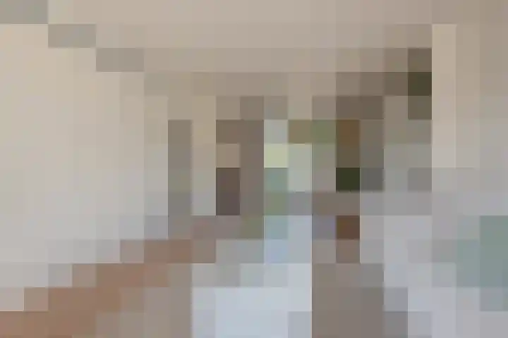 Diepenbrocklaan 13 Leidschendam thumbnail 7