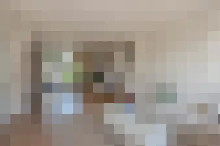 Diepenbrocklaan 13 Leidschendam thumbnail 8