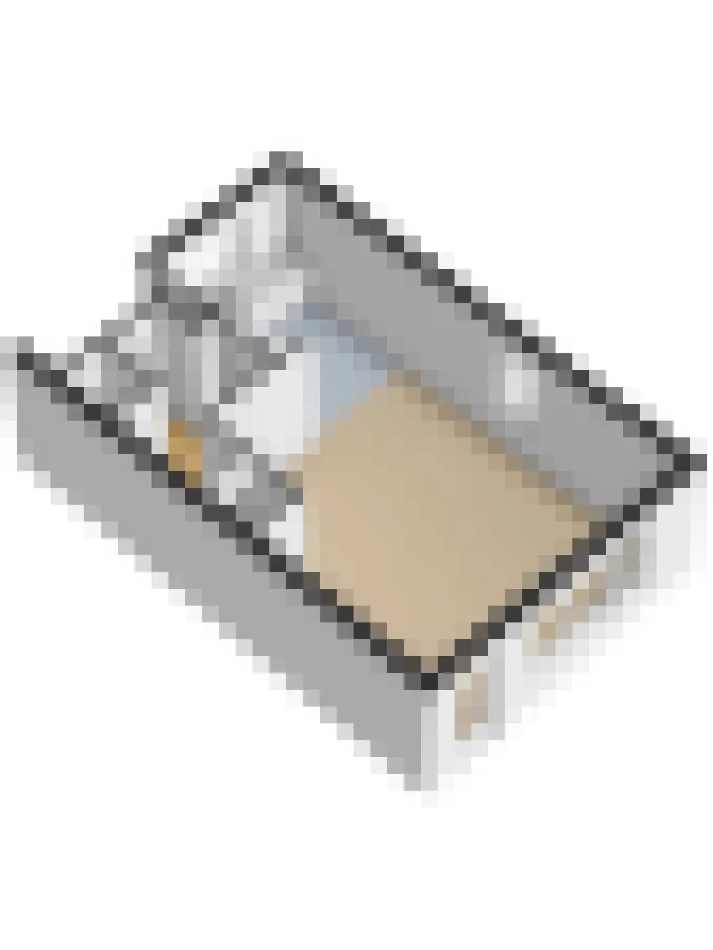 Diepenbrocklaan 15 Zwijndrecht thumbnail 51