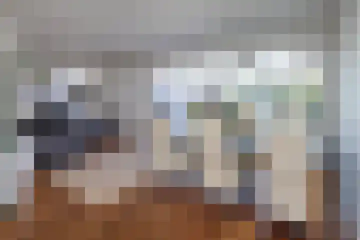 Diepenbrocklaan 17 Losser thumbnail 11