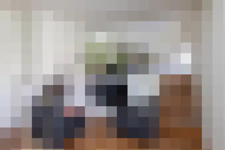 Diepenbrocklaan 17 Losser thumbnail 12