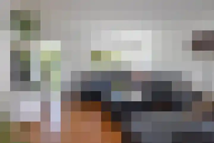 Diepenbrocklaan 17 Losser thumbnail 13