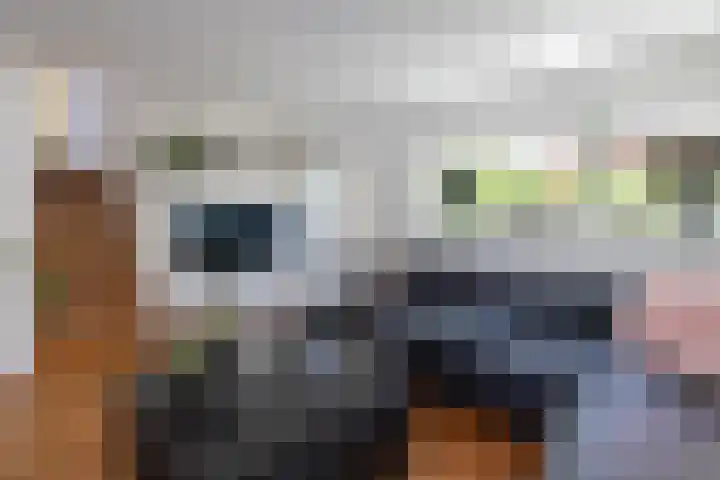 Diepenbrocklaan 17 Losser thumbnail 14