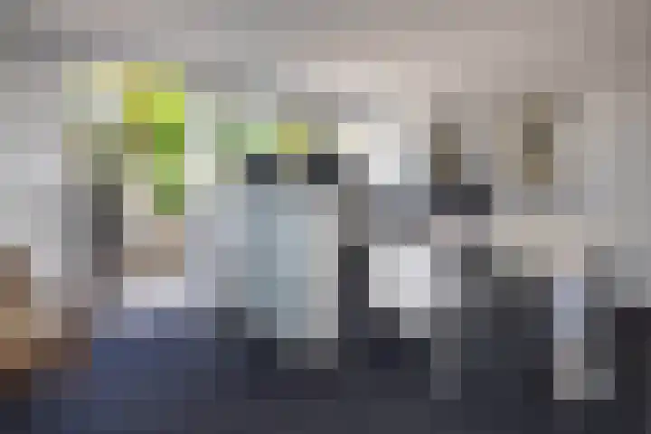 Diepenbrocklaan 17 Losser thumbnail 15