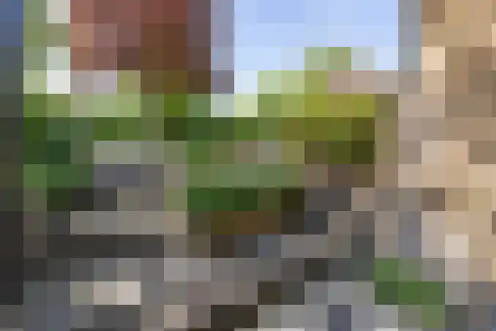 Diepenbrocklaan 17 Losser thumbnail 16