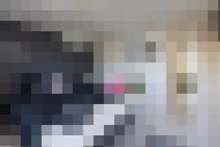 Diepenbrocklaan 17 Losser thumbnail 17