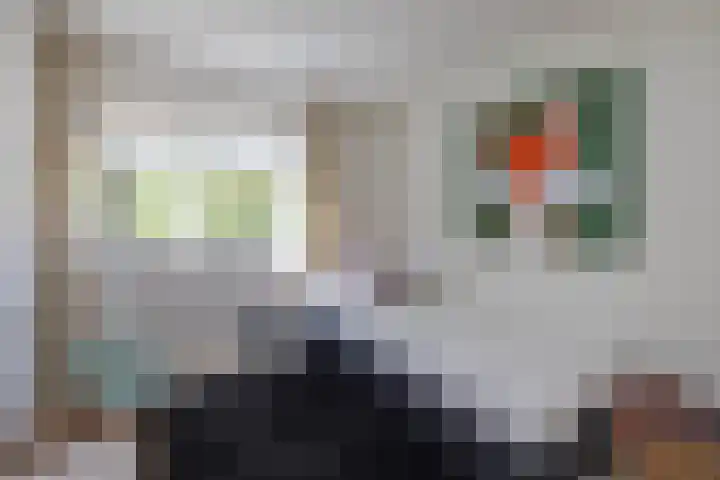 Diepenbrocklaan 17 Losser thumbnail 19
