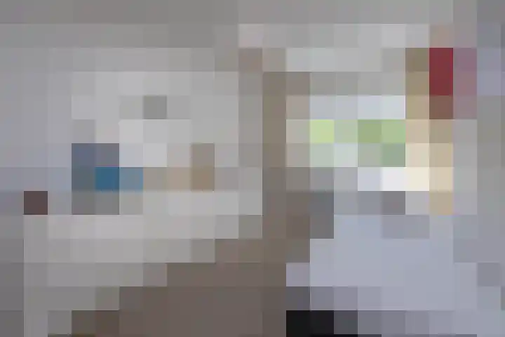 Diepenbrocklaan 17 Losser thumbnail 20