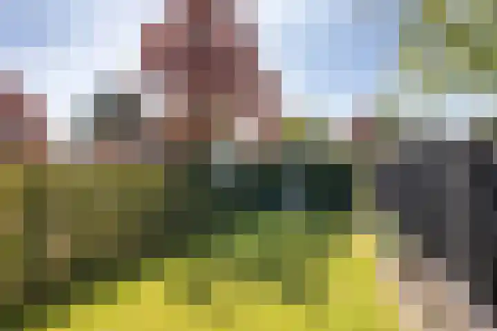 Diepenbrocklaan 17 Losser thumbnail 24