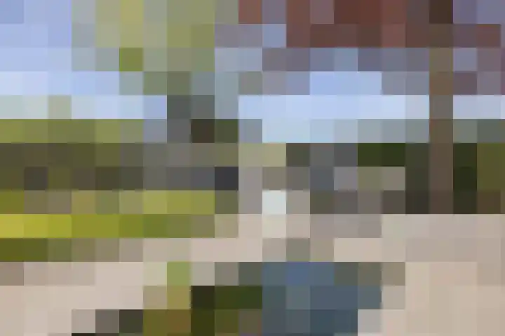 Diepenbrocklaan 17 Losser thumbnail 25