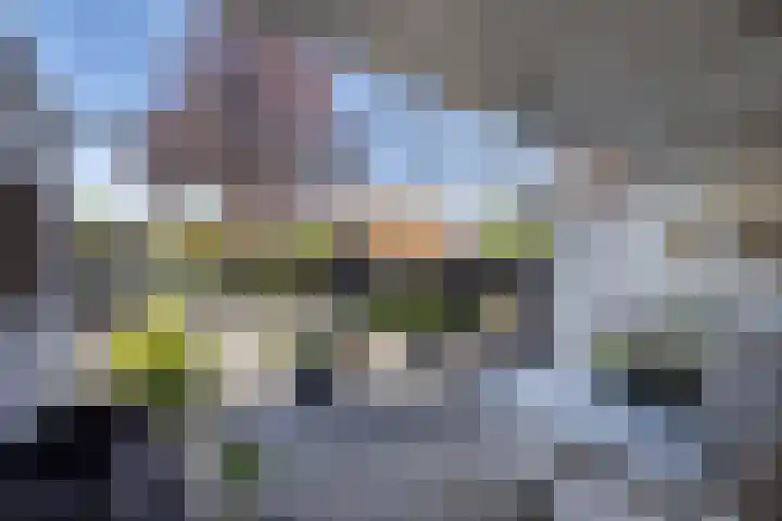 Diepenbrocklaan 17 Losser thumbnail 26