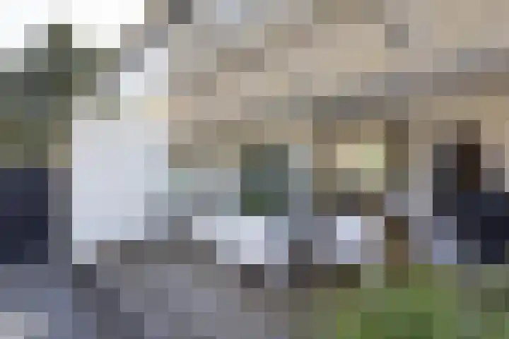 Diepenbrocklaan 17 Losser thumbnail 27