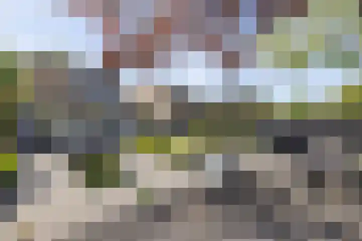 Diepenbrocklaan 17 Losser thumbnail 28