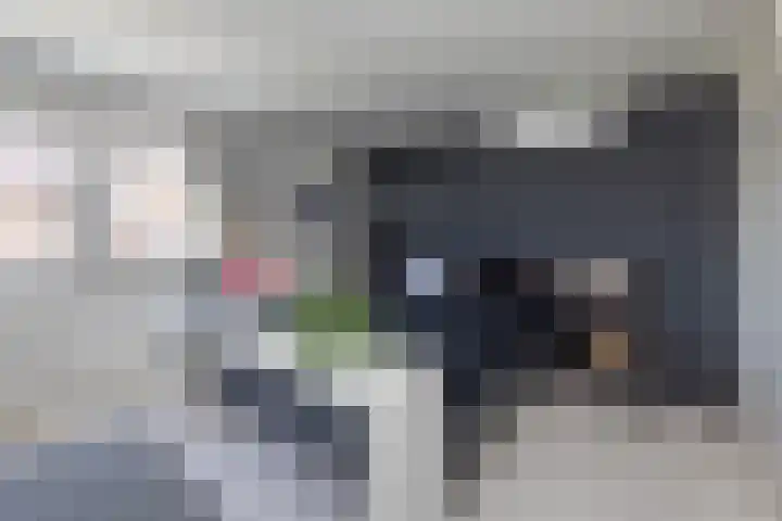 Diepenbrocklaan 17 Losser thumbnail 4