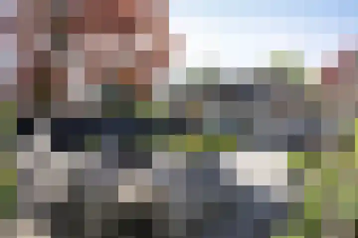 Diepenbrocklaan 17 Losser thumbnail 6